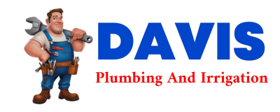 Trusted plumber in COPPELL